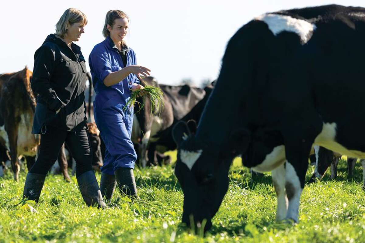 Employment Outlook Dairy Farmer PLOYMENT